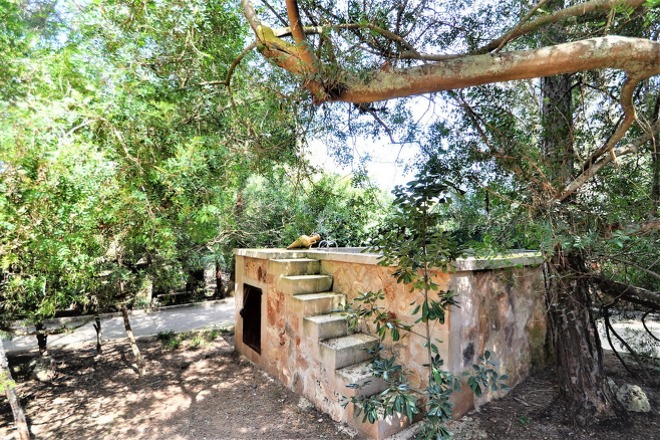 Finca Laforet (f040) in Campos Foto 30