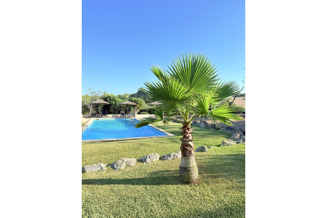 Finca  (f051) in Vilafranca Foto 33