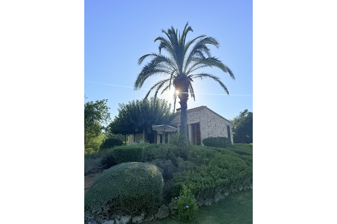 Finca  (f051) in Vilafranca Foto 42