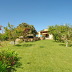 Finca Binifarda (f136) in Felanitx Foto 26