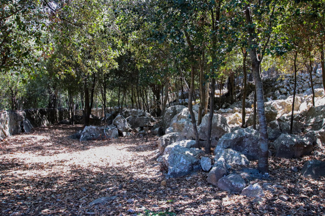 Finca Paloma (f200) in Pollensa Foto 28