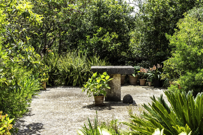 Finca Avellana (f238) in Pollensa Foto 32