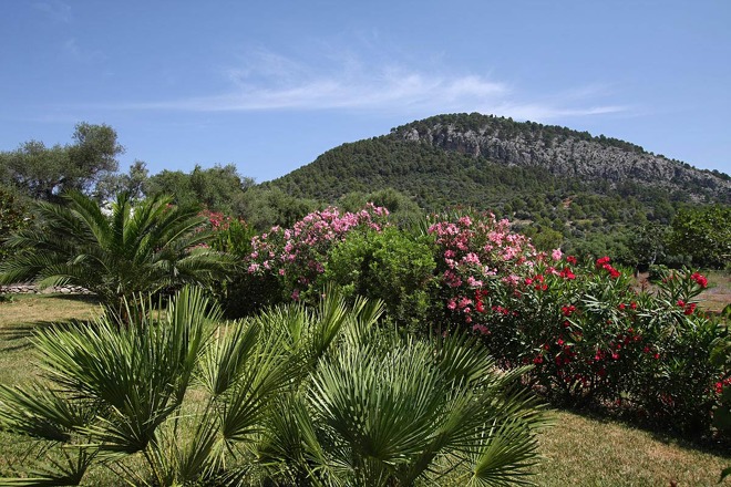 Finca Vistabella (f254) in Pollensa Foto 24