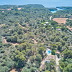 Finca Rosas (f341) in Cala Sa Nau Foto 40