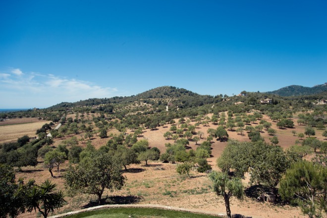 Finca Telma Golf (f373) in S'Horta Foto 33