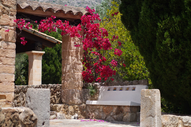 Finca Flora (f501) in Cala Sant Vicenc Foto 6