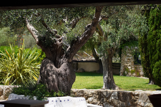 Finca Flora (f501) in Cala Sant Vicenc Foto 8