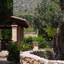Finca Flora (f501) in Cala Sant Vicenc Foto 5