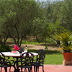Finca Flora (f501) in Cala Sant Vicenc Foto 28