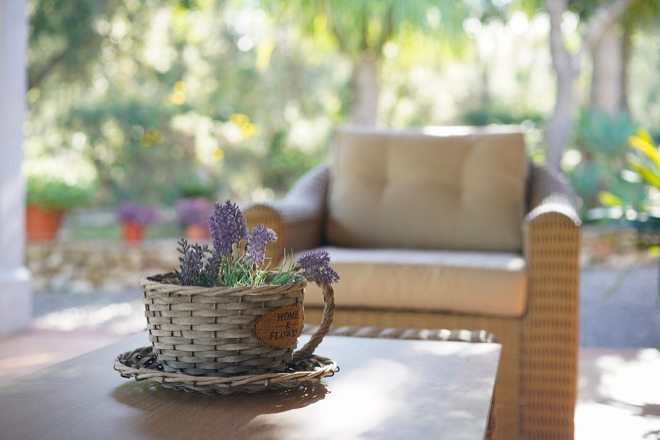 Finca Pedro (f509) in Pollensa Foto 27