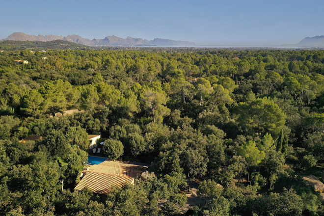 Finca Pedro (f509) in Pollensa Foto 34