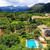 Finca Punta (f546) in Pollensa Foto 2