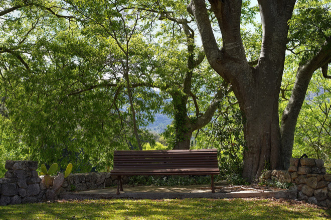 Finca Paquita (f553) in Pollensa Foto 6