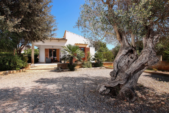 Finca Obac (f554) in Puerto Pollensa Foto 20