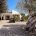 Finca Obac (f554) in Puerto Pollensa Foto 20
