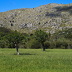 Finca Obac (f554) in Puerto Pollensa Foto 22