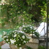 Country Hotel Refugio Son Pons (h024) in Campanet Foto 3