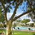 Country Hotel Ses Rotes Velles (h060) in Ses Salines Foto 3